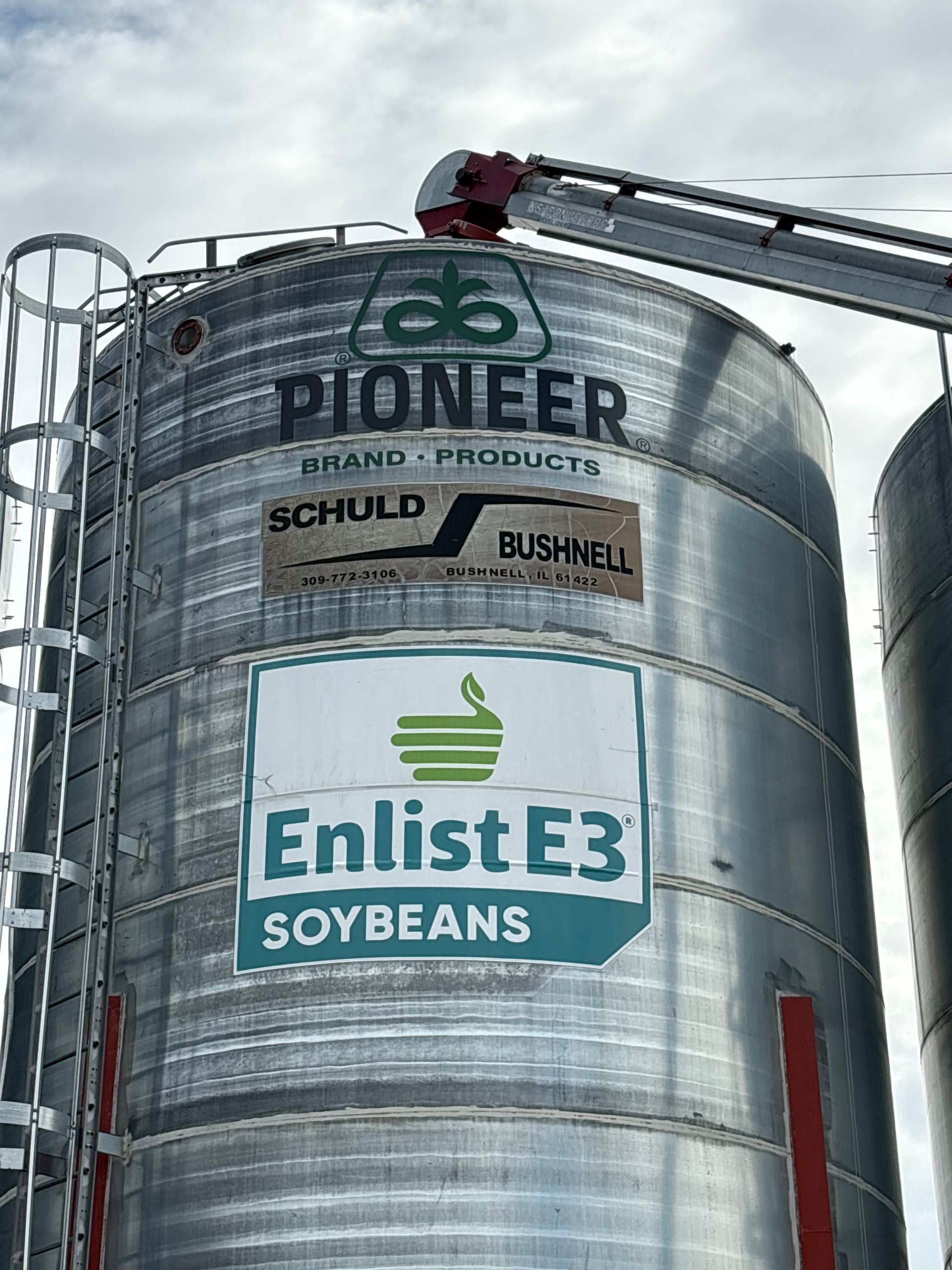 Pioneer Seed is offered by RCA