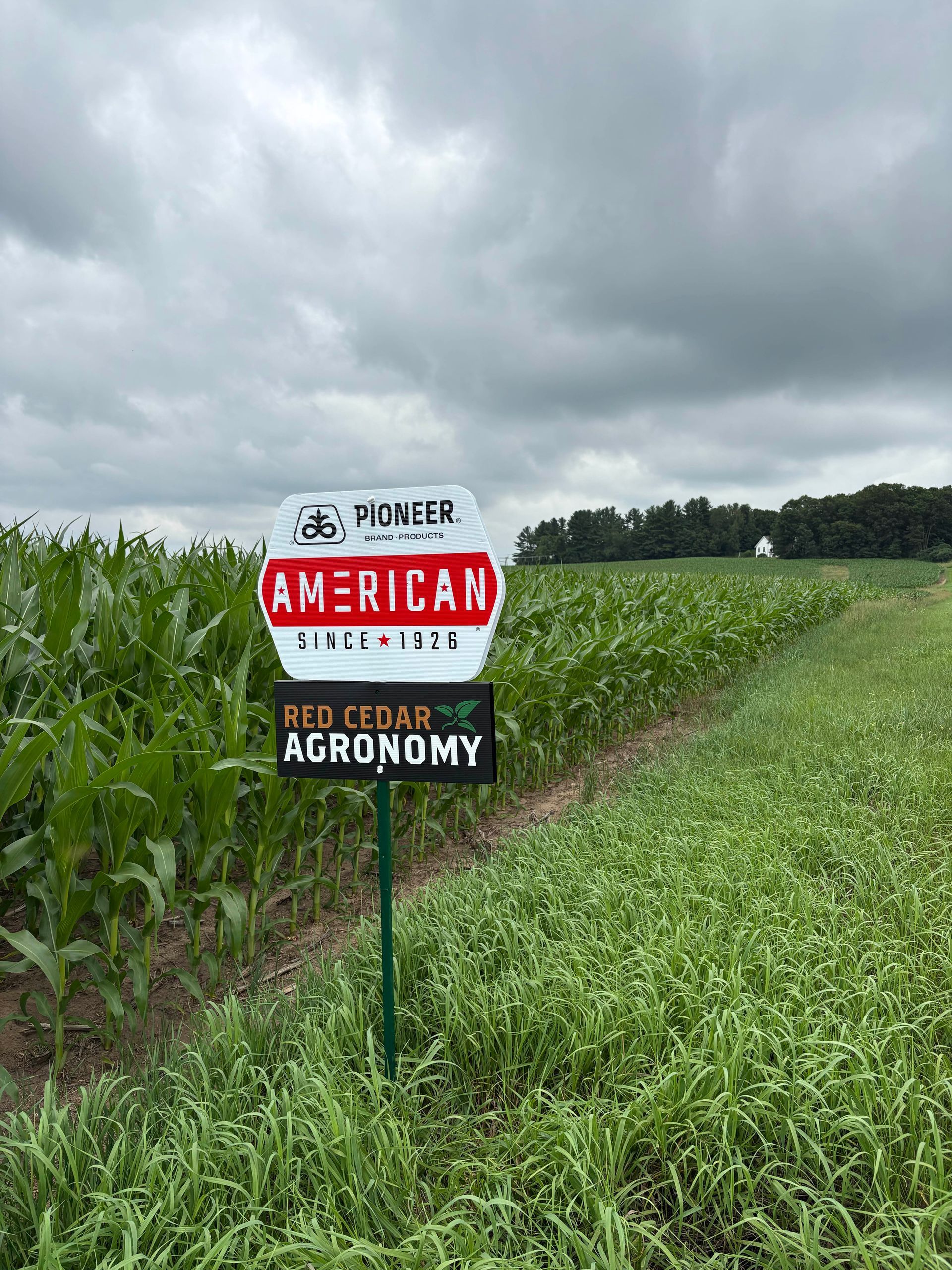 Pioneer Seed is offered by RCA