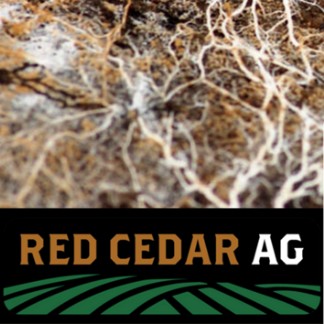 Plant Growth Promoters