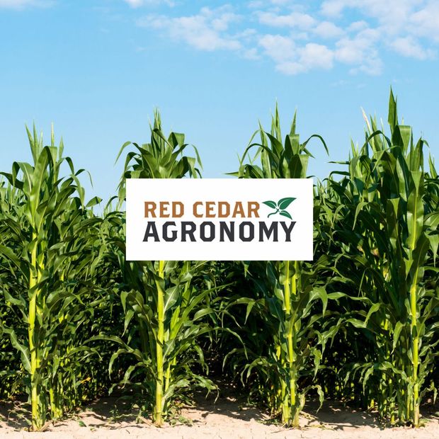 Corn Products