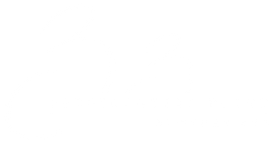 Presidential Point Logo