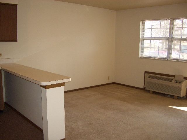 An empty living room with a window and a heater