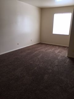 An empty living room with brown carpet and a window.