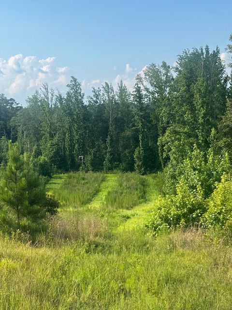 Yellow excavator digging into dirt.