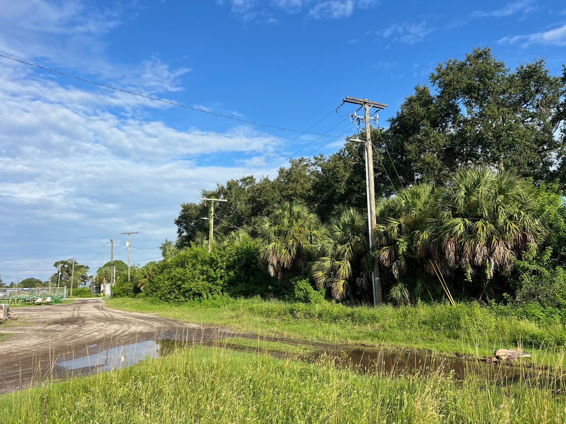 Yellow excavator clearing brush and trees in a sunny forest setting.