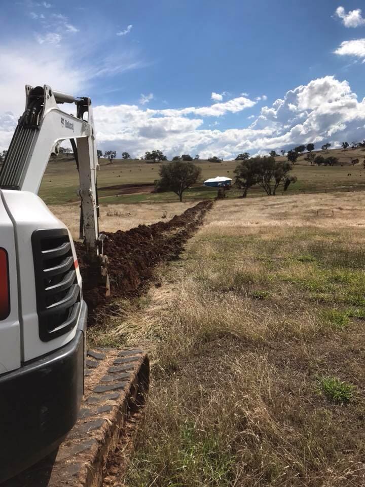 Digging — ASP Electrical Orange in Emu Swamp, NSW