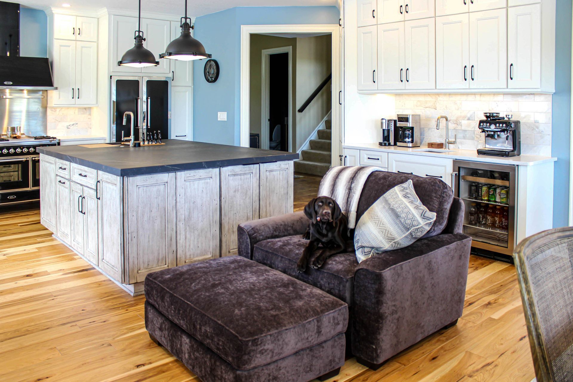 A dog is sitting in a chair in a living room next to a kitchen.