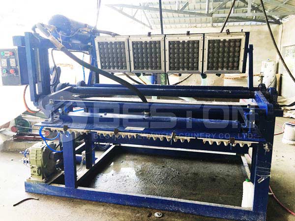 small egg tray machine