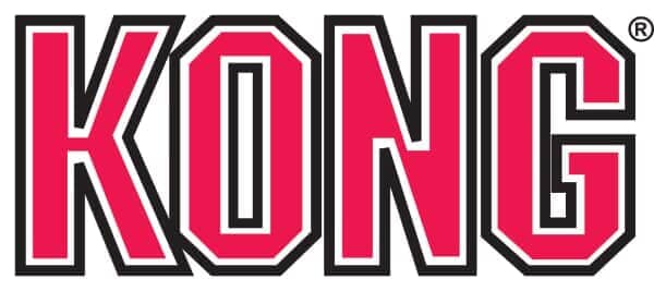 Kong - Dog Splash in Chicago, IL