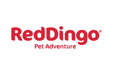 Red Dingo - Dog Splash in Chicago, IL