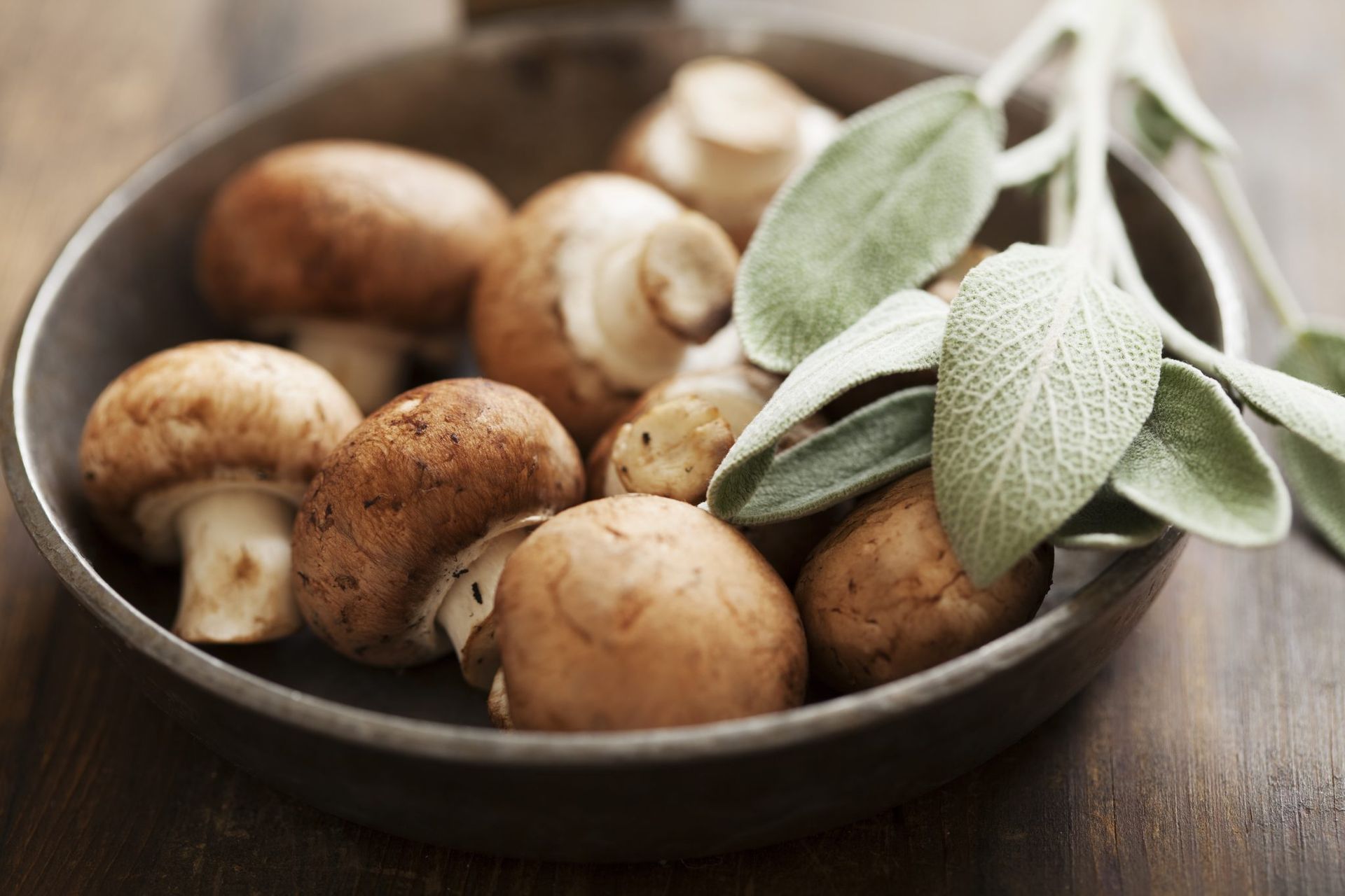 Wild Mushroom and Sage Infused Olive Oil