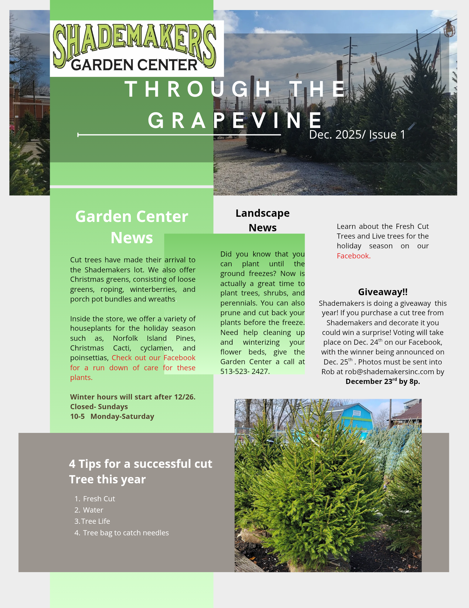 december newsletter page 1