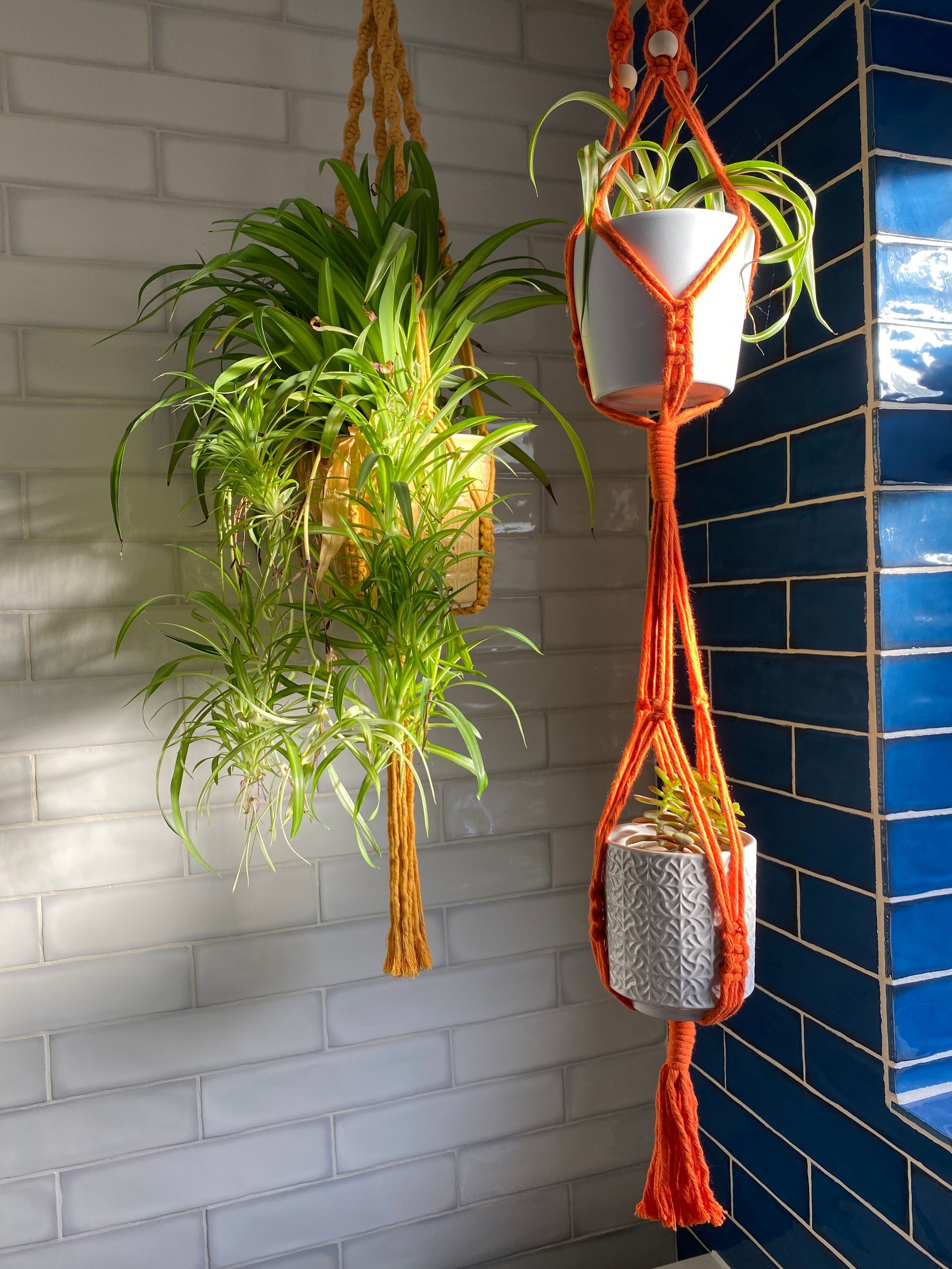 Plant hangers pictured against ceramic tiles.