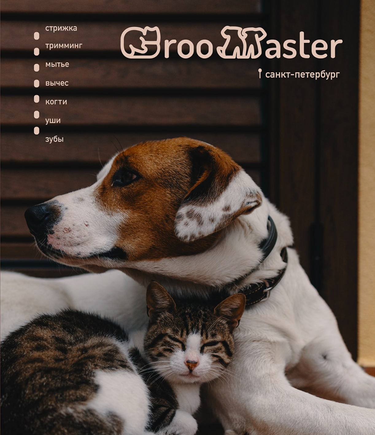 groomaster poster pet shop