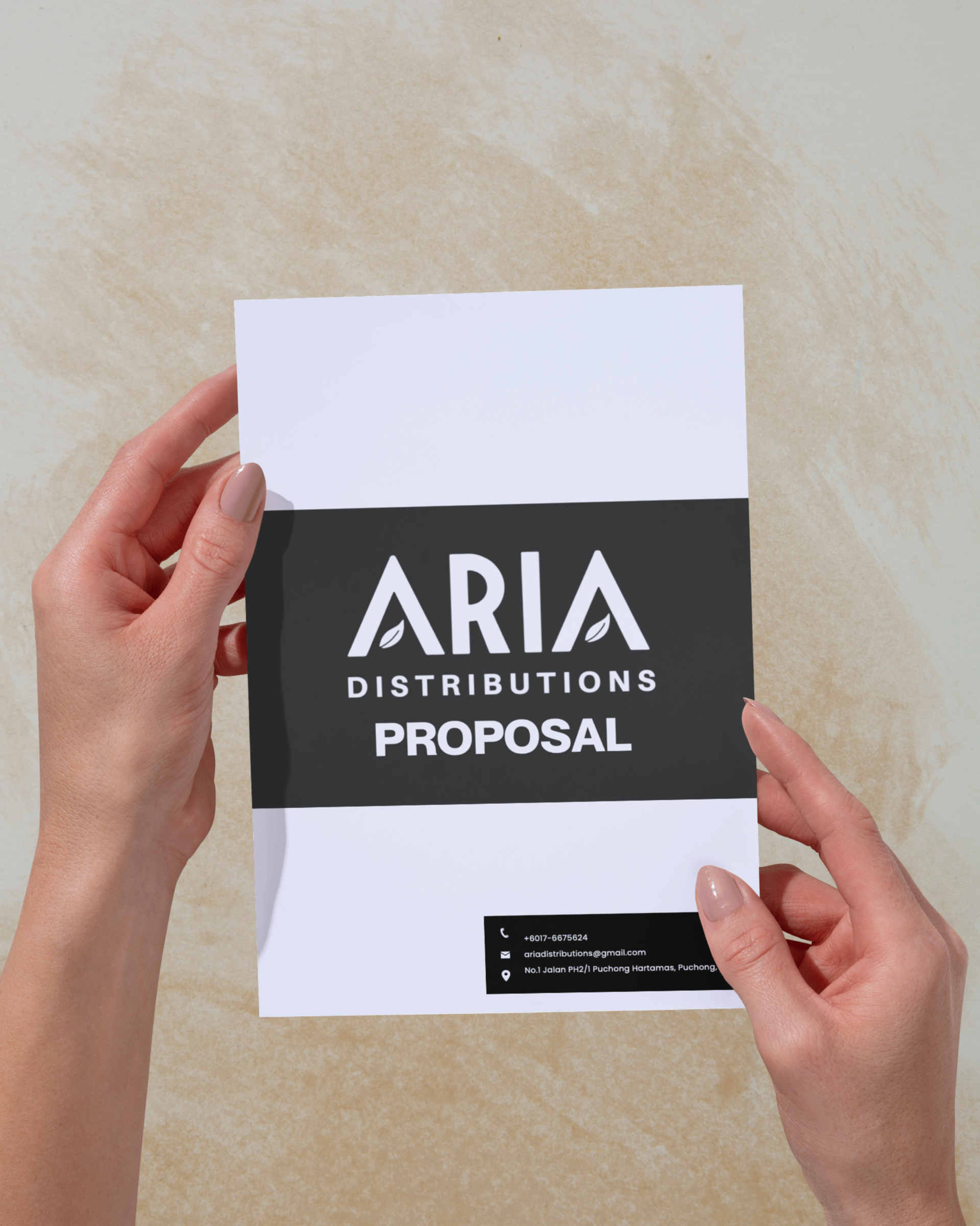 Aria distributions logistics b2b distribution company supplier project proposal