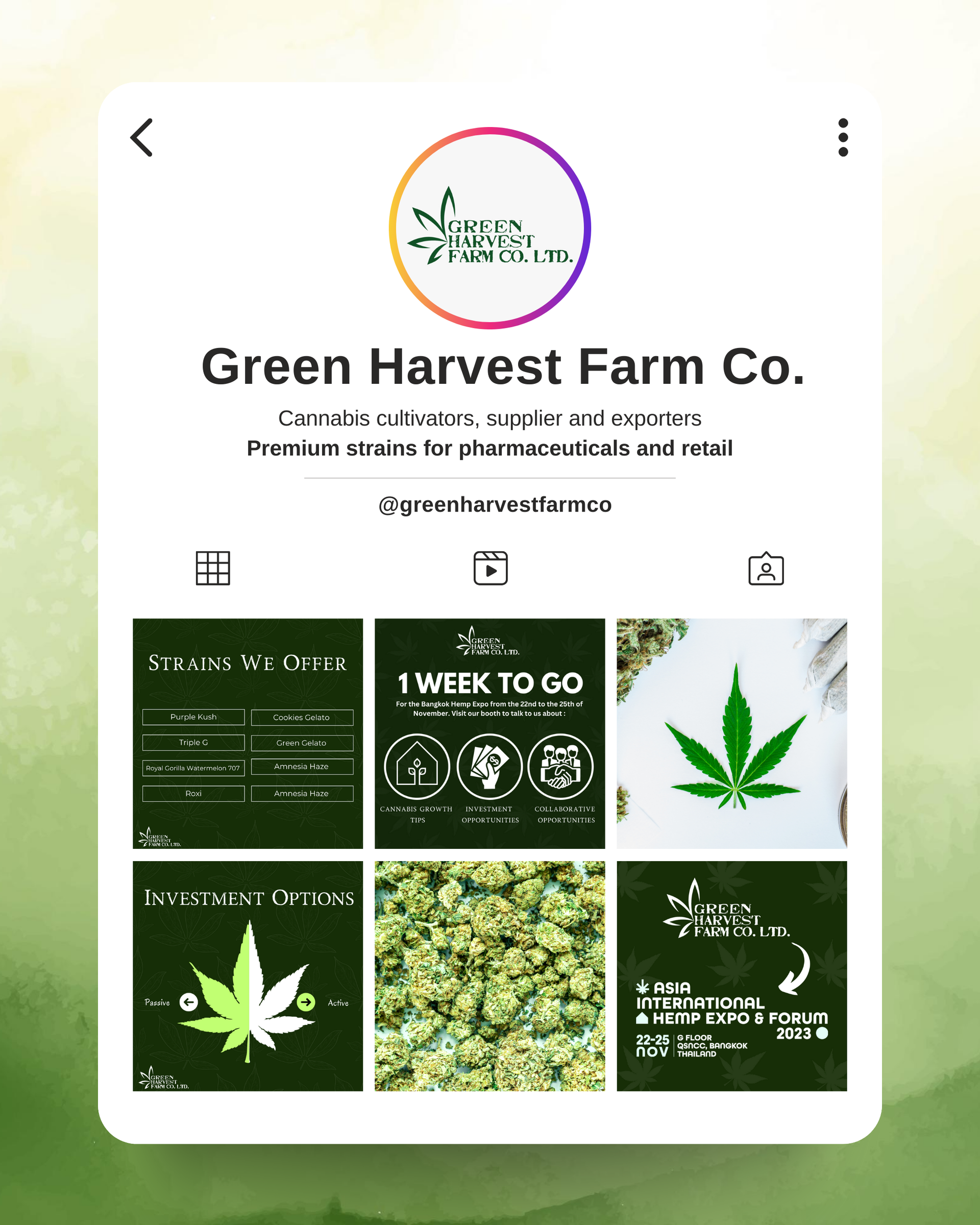 green harvest farm co cannabis farm design project social media feed instagram post