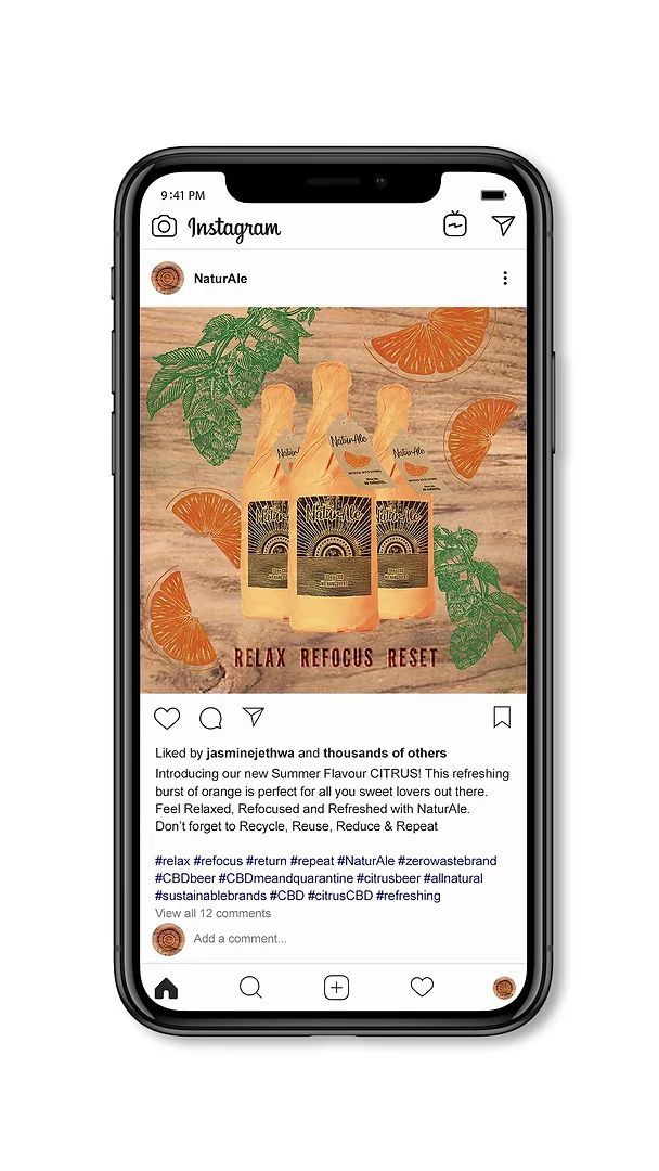 Naturale natural beer cider ale branding project design Social Media Feed Post 