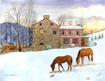 High Quality Framing — Horse In The Snow in Williamsport, PA