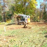 A white and orange Bobcat skid steer moves tree branches across a clearing in a wooded area on a sunny day.