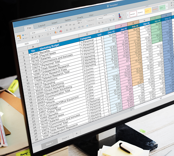 A budget spreadsheet is viewed on a computer monitor.