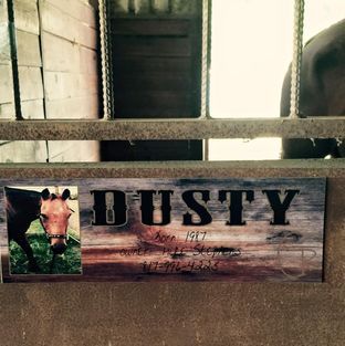 A horse behind a fence with a sign that says dusty