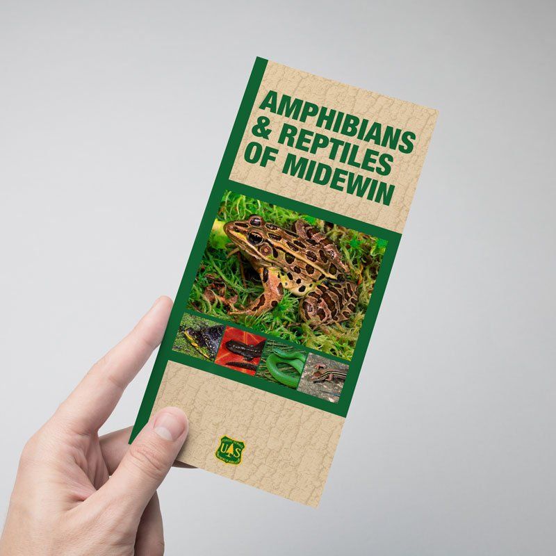 a person is holding a brochure about amphibians and reptiles of midewin