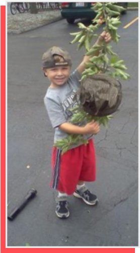 Kid Holding Hornet's Nest — Pest Control in Bowling Green, OH