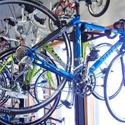 New Bikes – Valparaiso, IN – Buck’s Bicycle Shop, Inc.