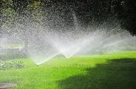 A sprinkler is spraying water on a lush green lawn.