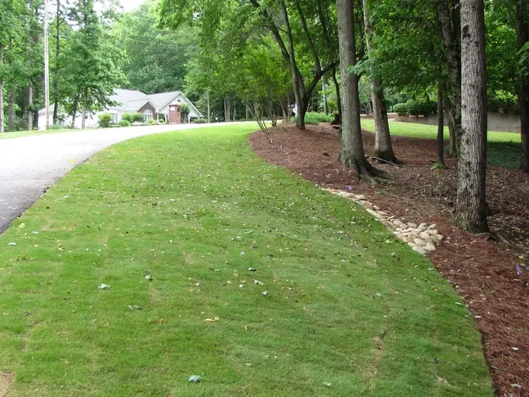 A lush green lawn next to a road and trees.