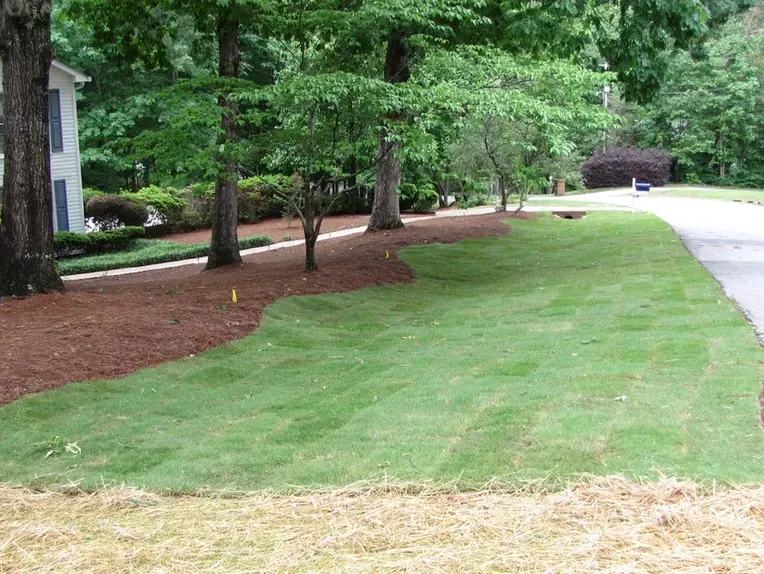A lush green lawn in front of a house.