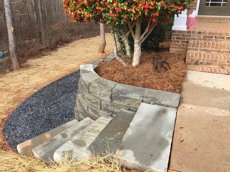 A tree in a garden next to a brick wall and stairs.