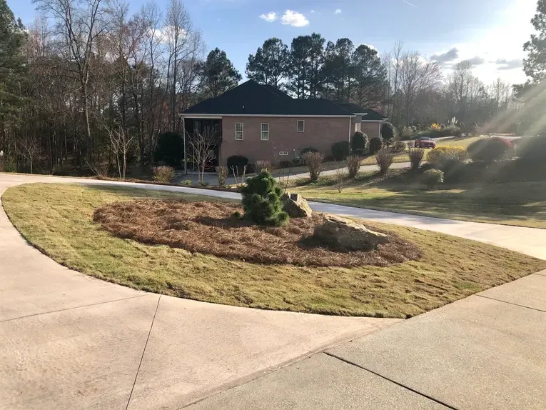 A large house is surrounded by trees and a driveway.