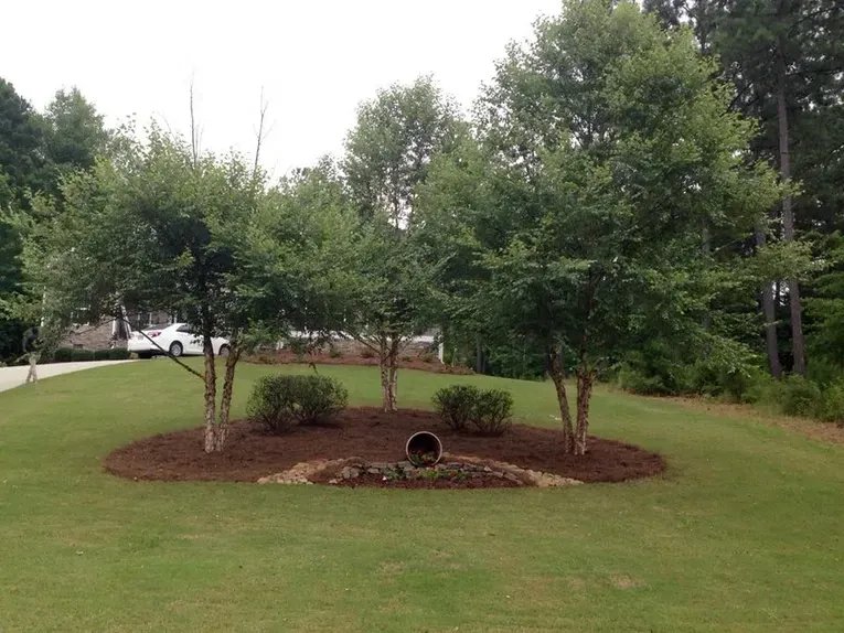 A lawn with trees and a pipe in the middle of it.