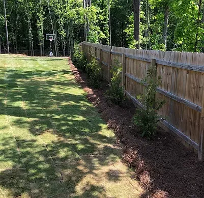A wooden fence surrounds a lush green yard with a basketball hoop in the background.