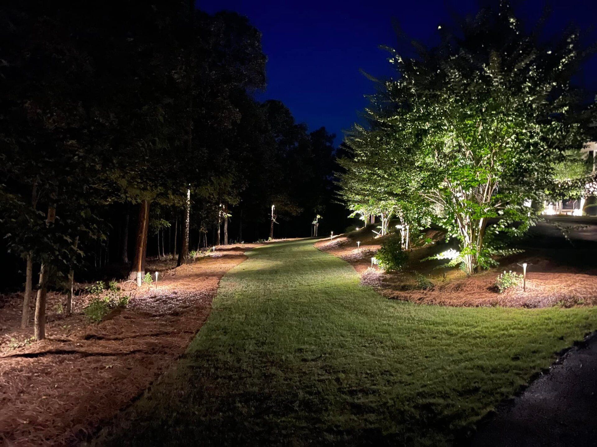 A path surrounded by trees is lit up at night.