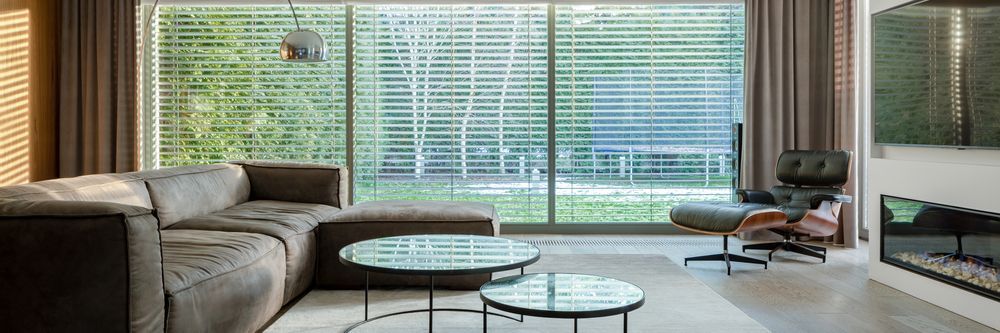 Cafe interior with large windows, sunlight, hanging lightbulbs, and plants.