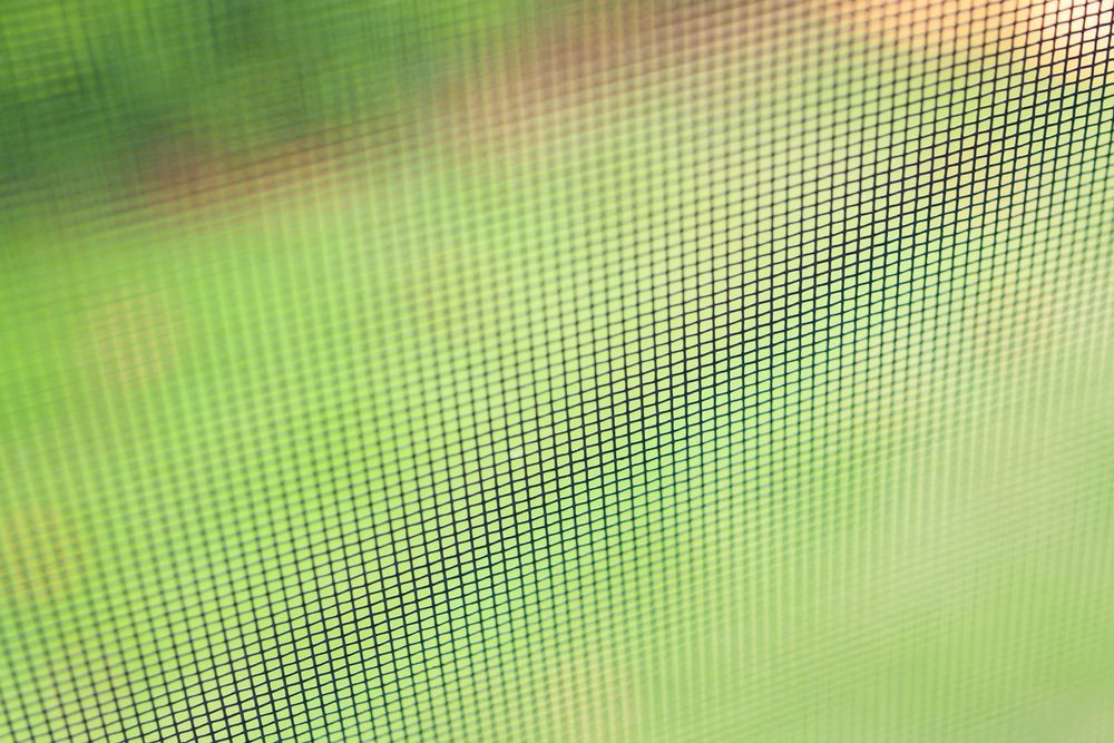 Close-up view of a black mesh screen against a blurry green background, possibly a yard.