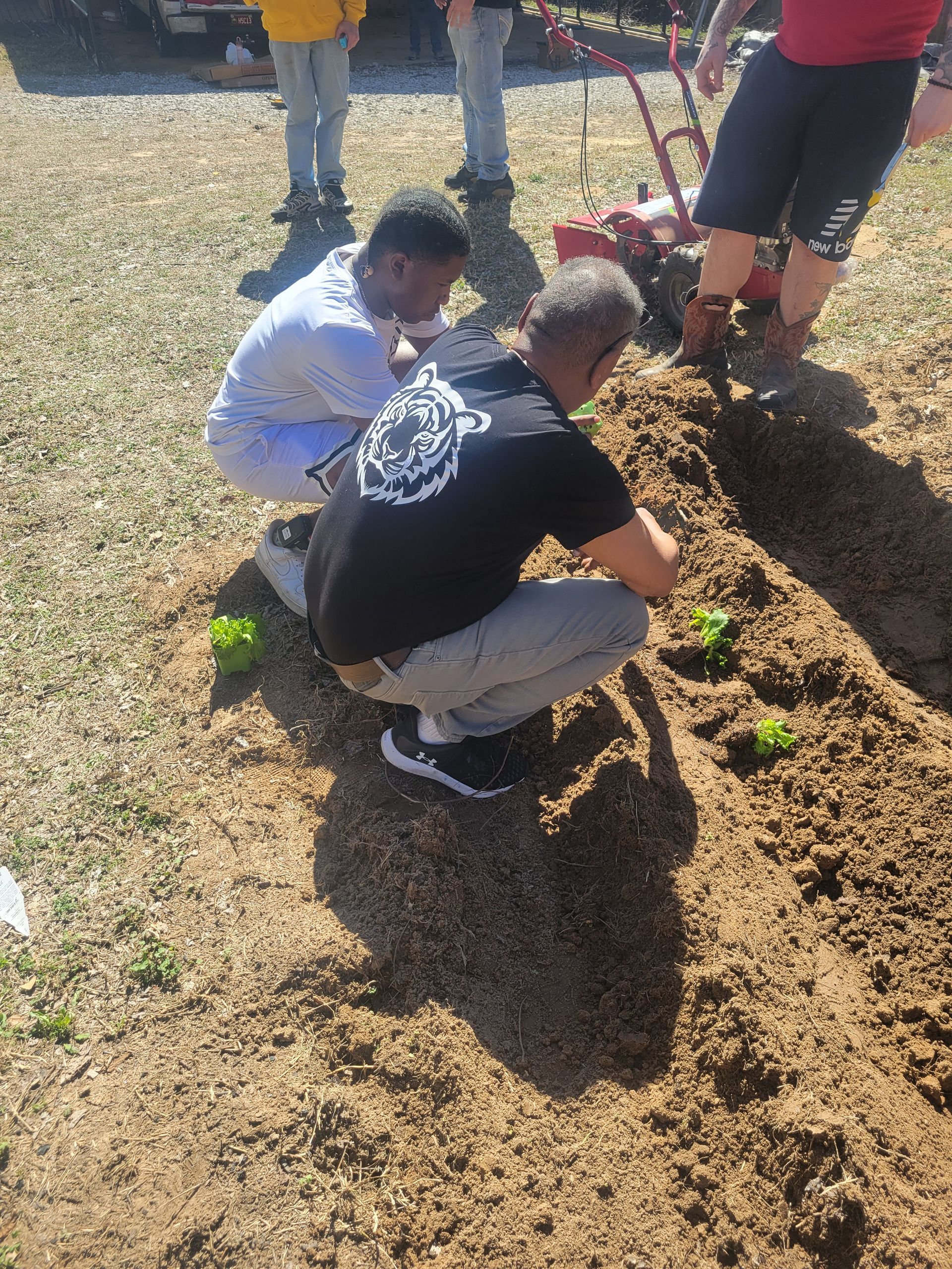 A group of people are working in a garden.