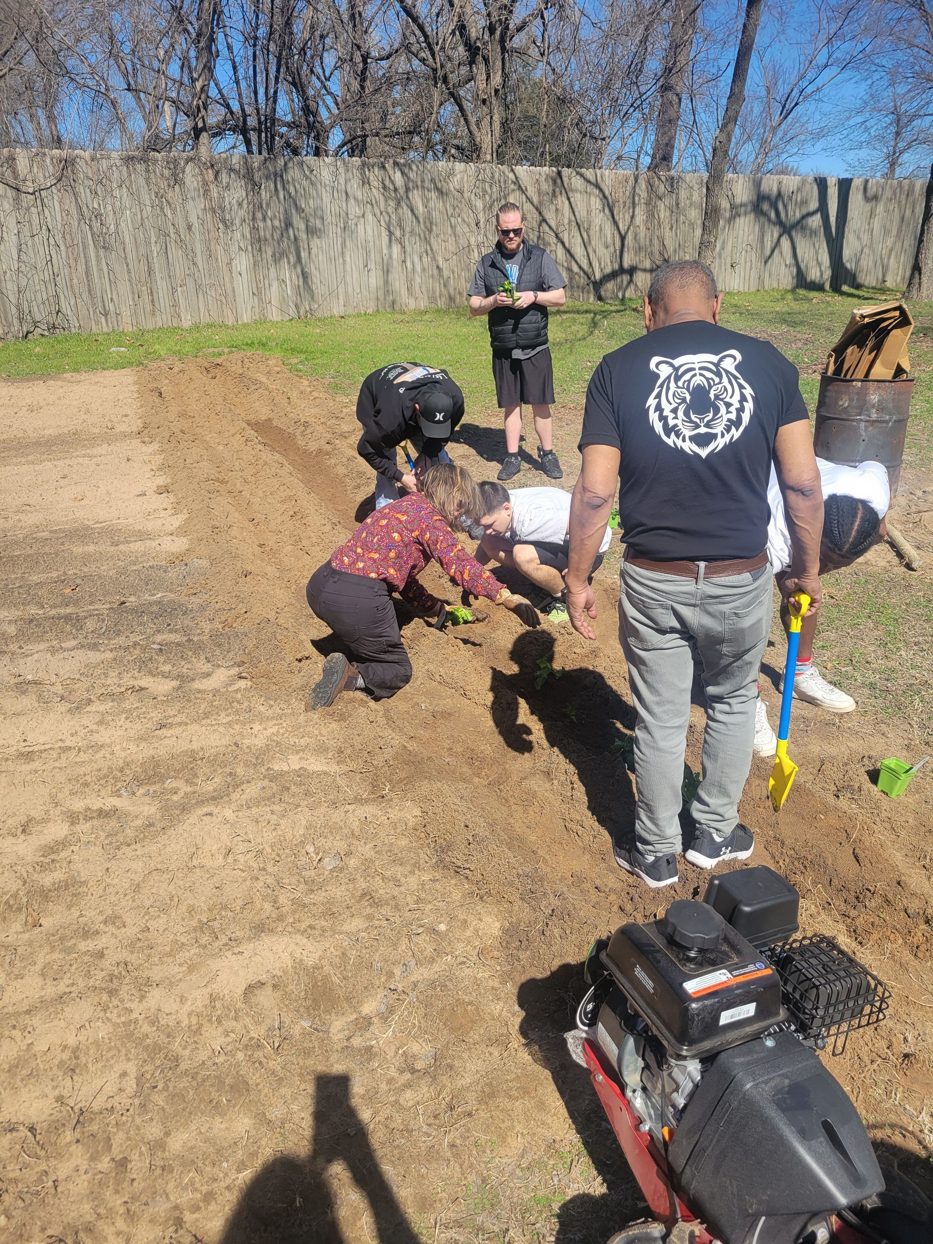 A group of people are digging in the dirt in a yard.
