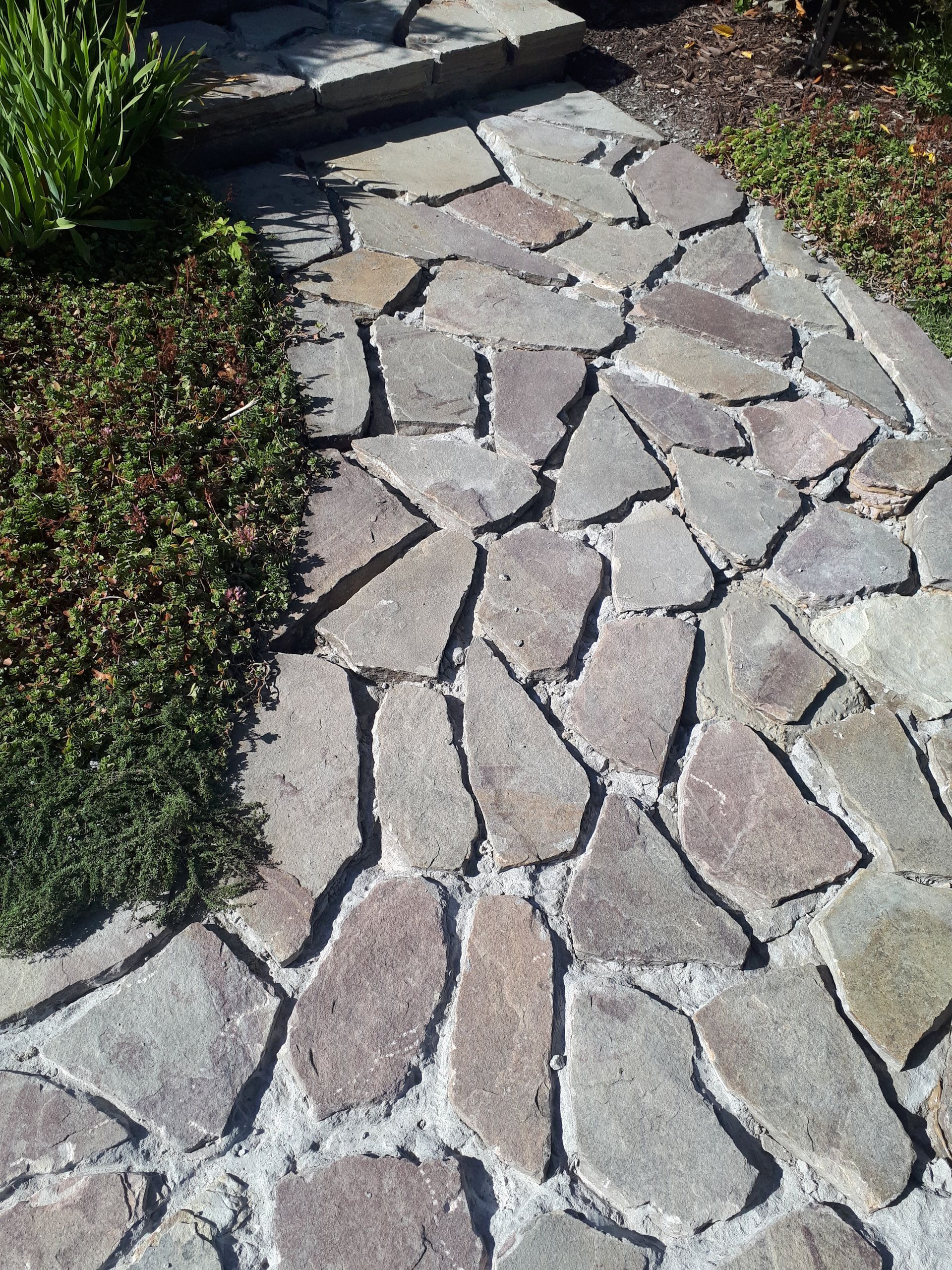 Une passerelle en pierre avec quelques plantes sur le côté