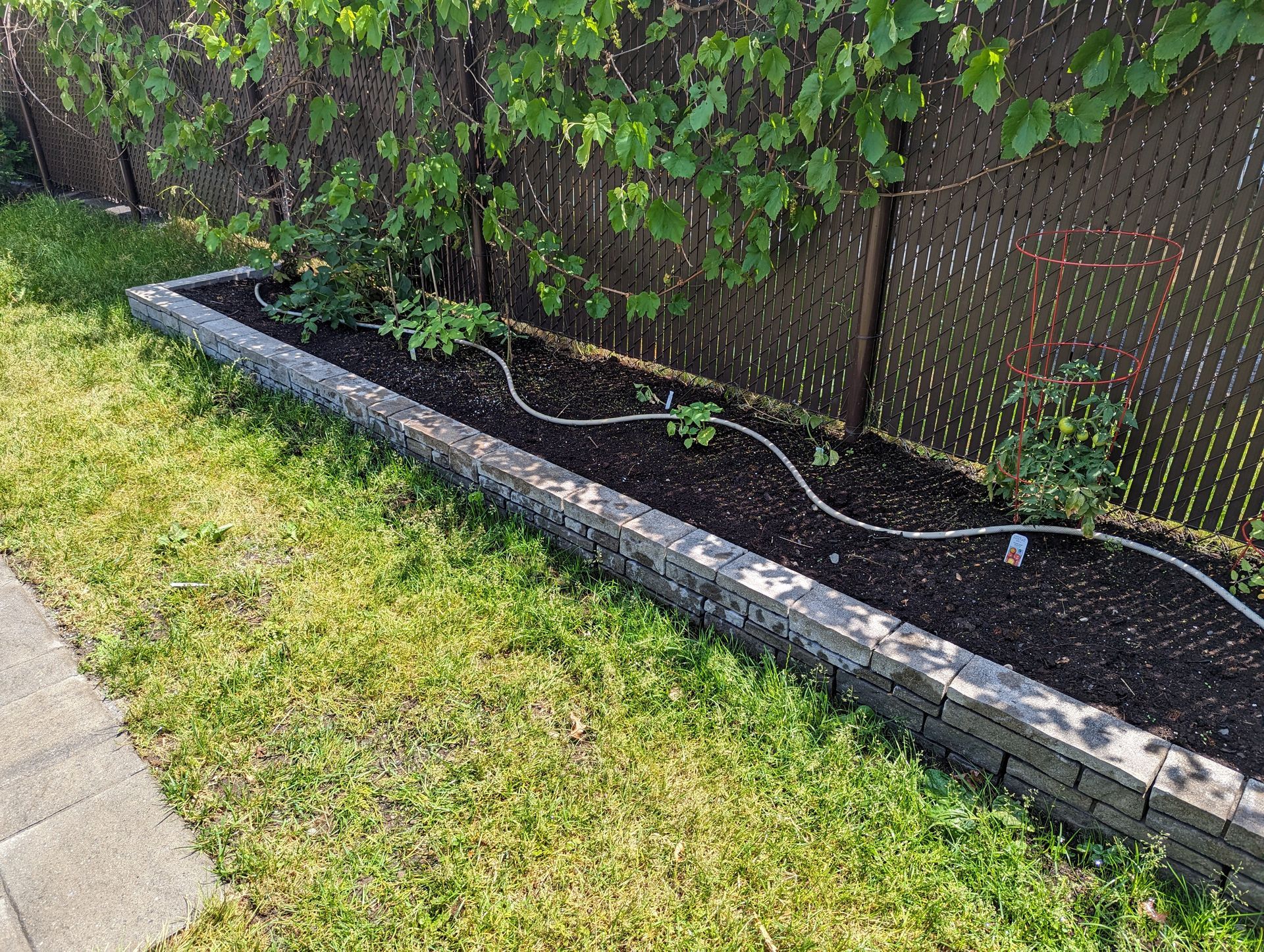 Un lit de jardin auquel est fixé un tuyau dans une cour à côté d'une clôture.