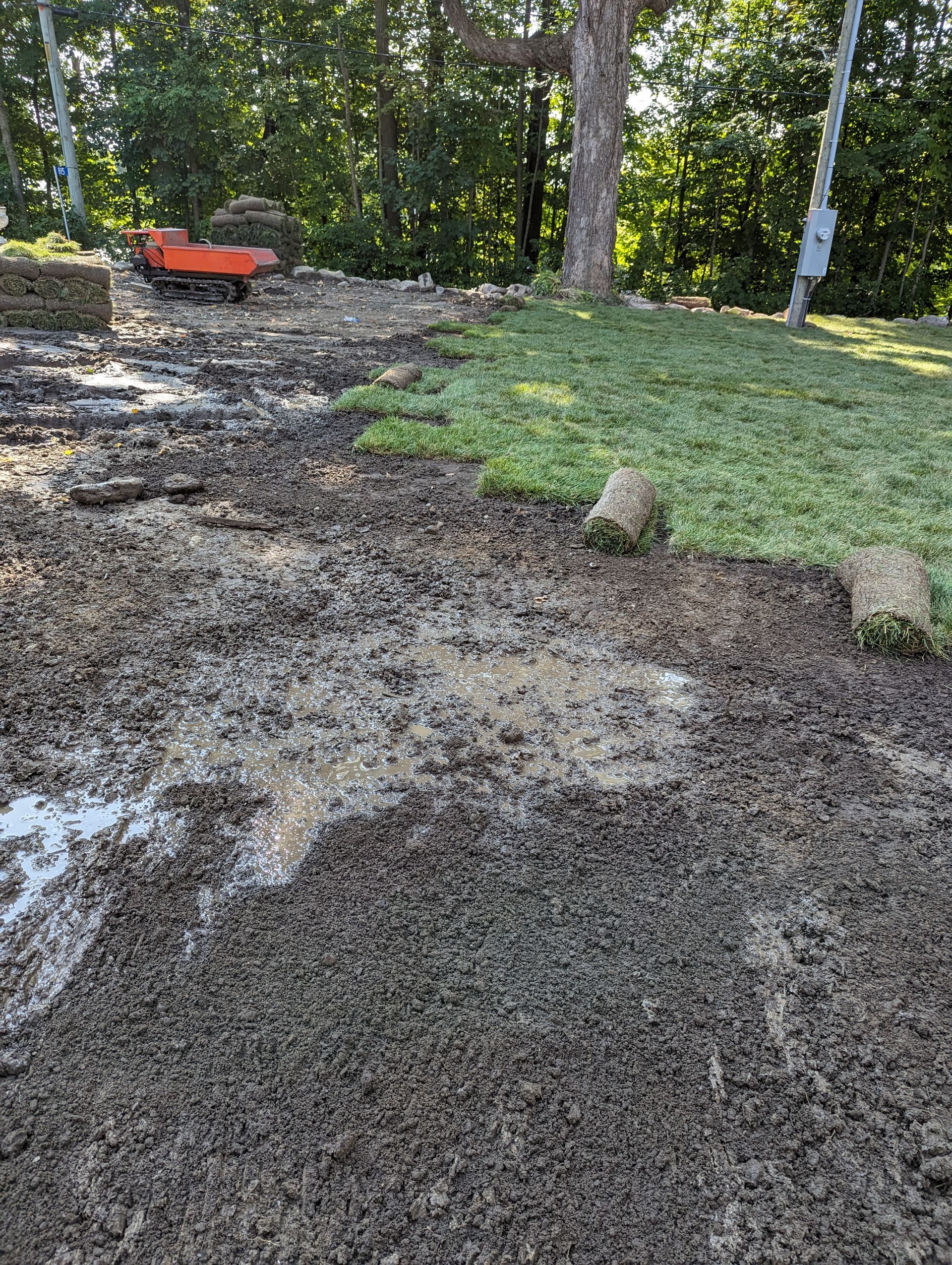 Un tas de terre et d'herbe dans une cour avec des arbres en arrière-plan.