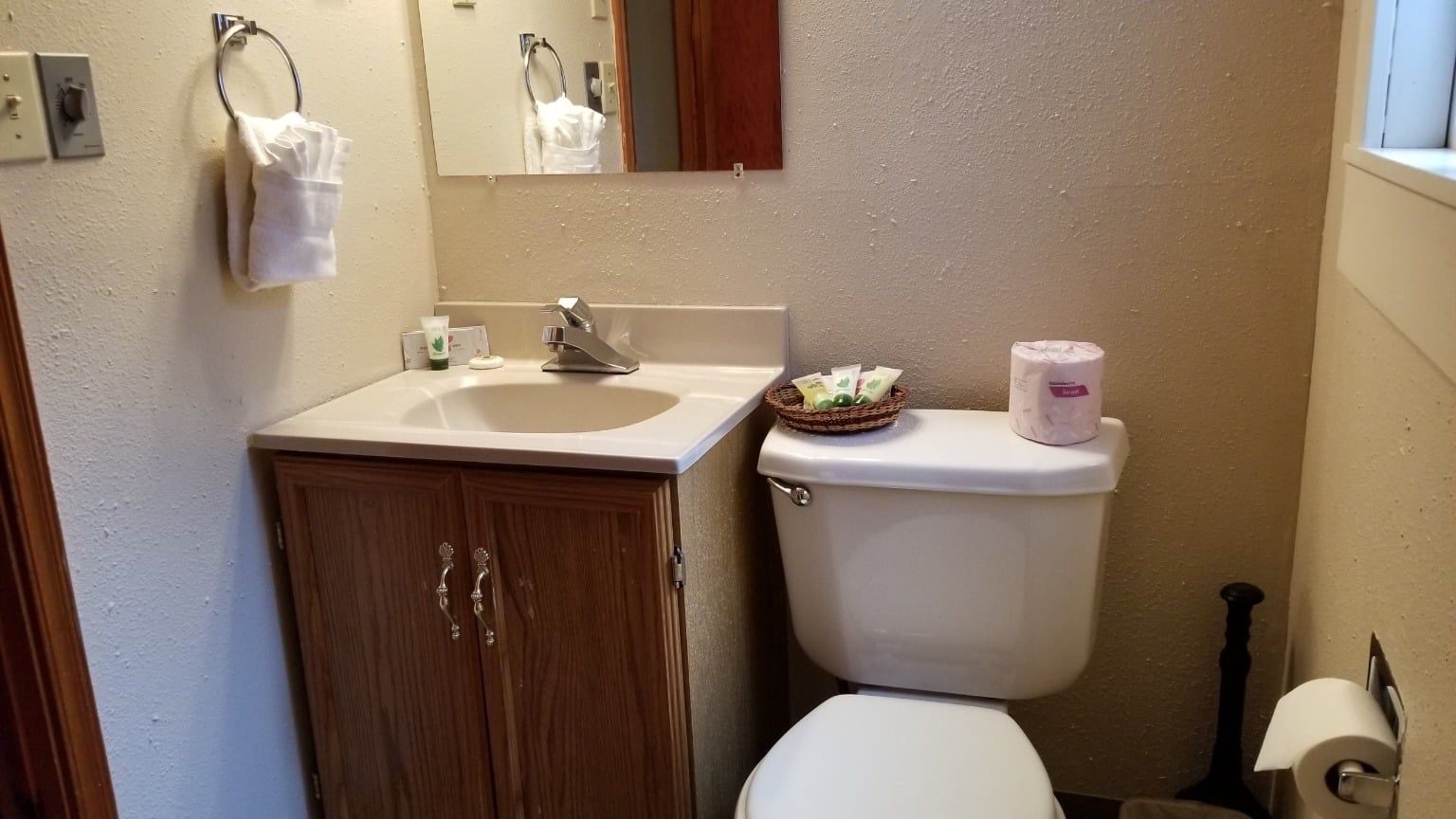 A bathroom with a toilet , sink and mirror.