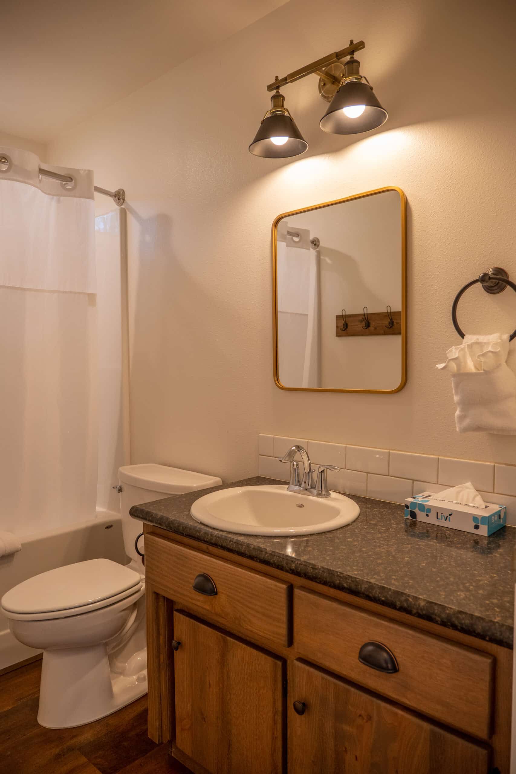 A bathroom with a toilet , sink , and mirror.