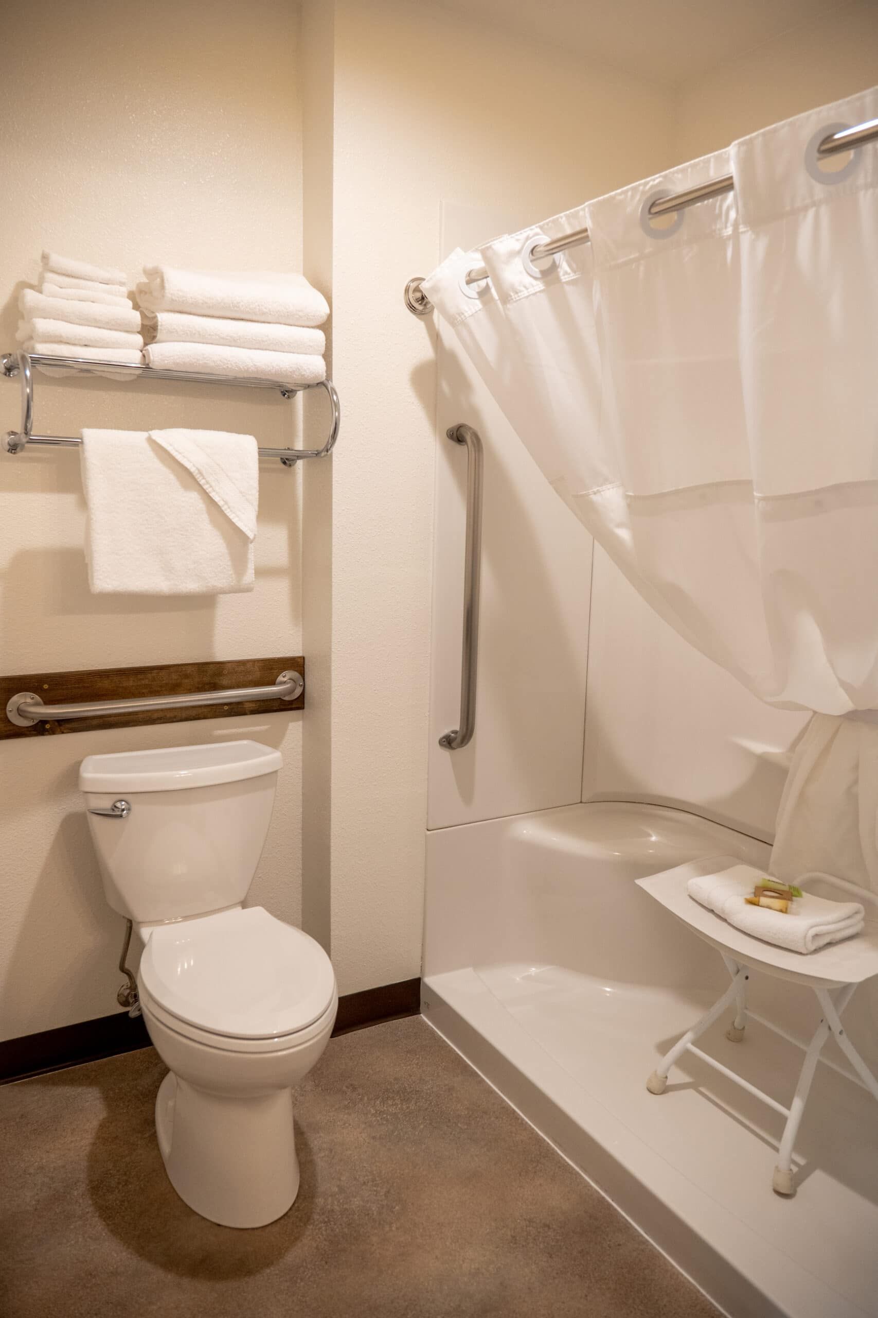 A bathroom with a toilet , shower , and stool.