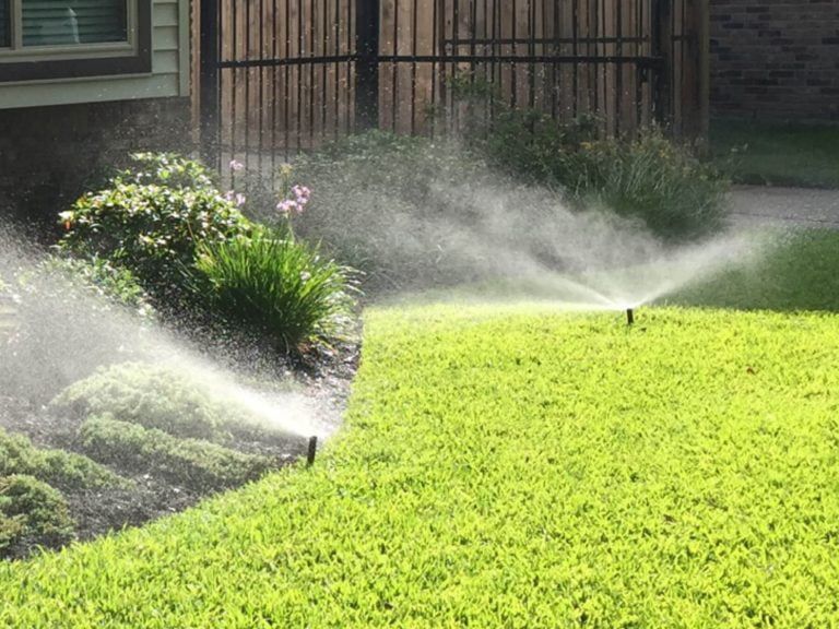 A sprinkler is spraying water on a lush green lawn.