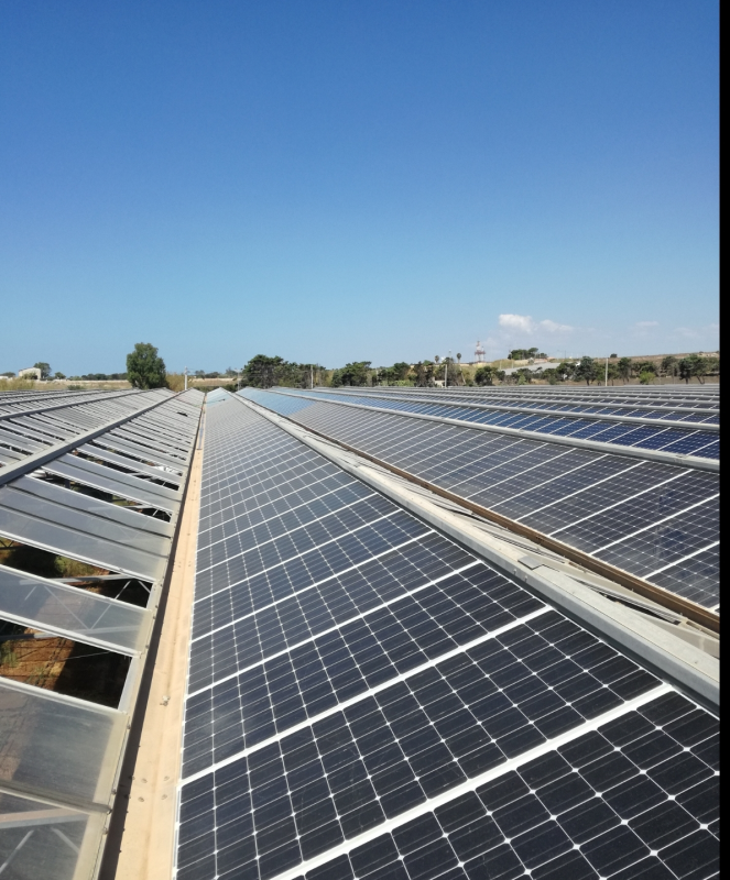 Una fila di pannelli solari sul tetto di un edificio
