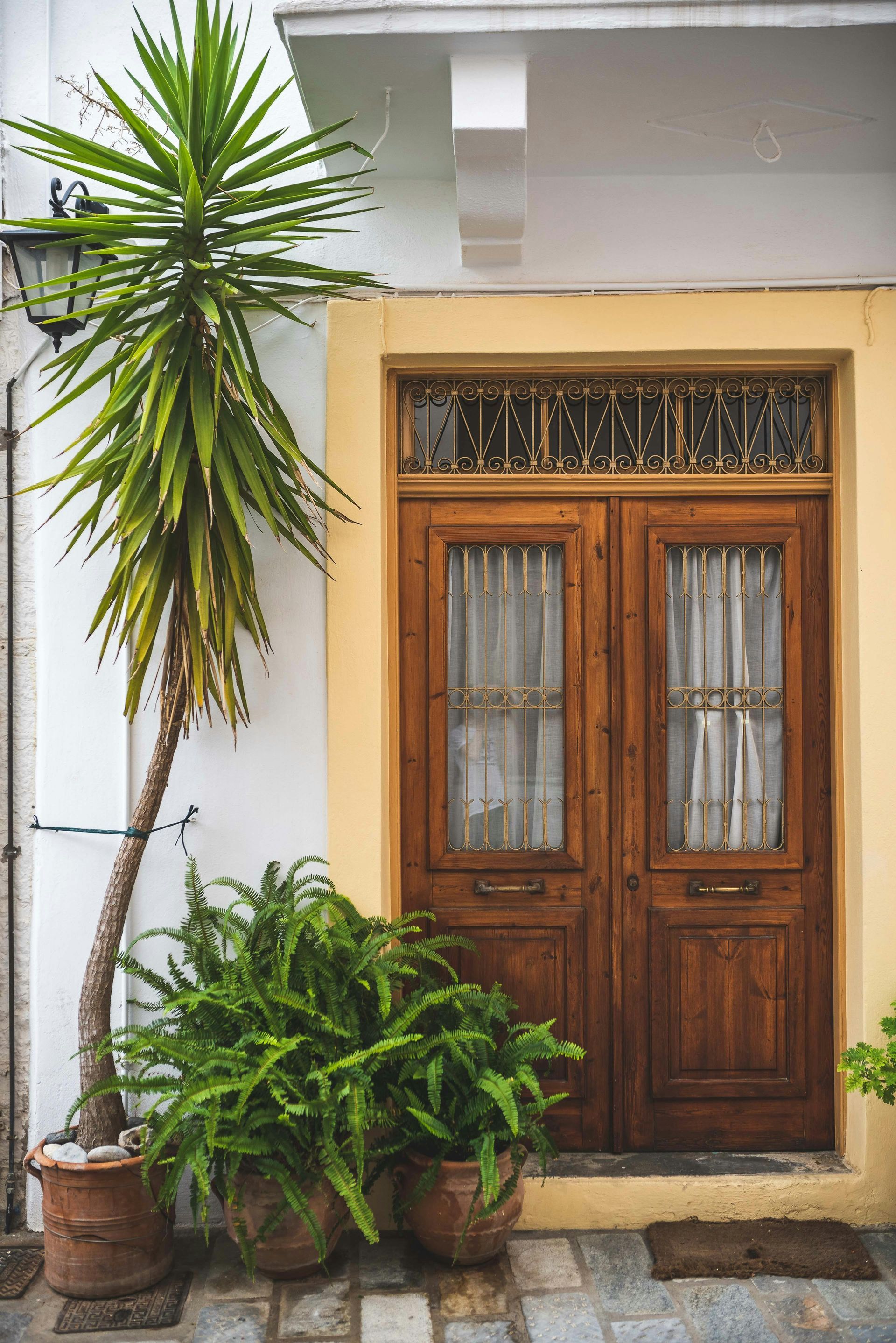 Wooden double doors with lace curtains, framed by yellow, flanked by potted plants and a palm tree.