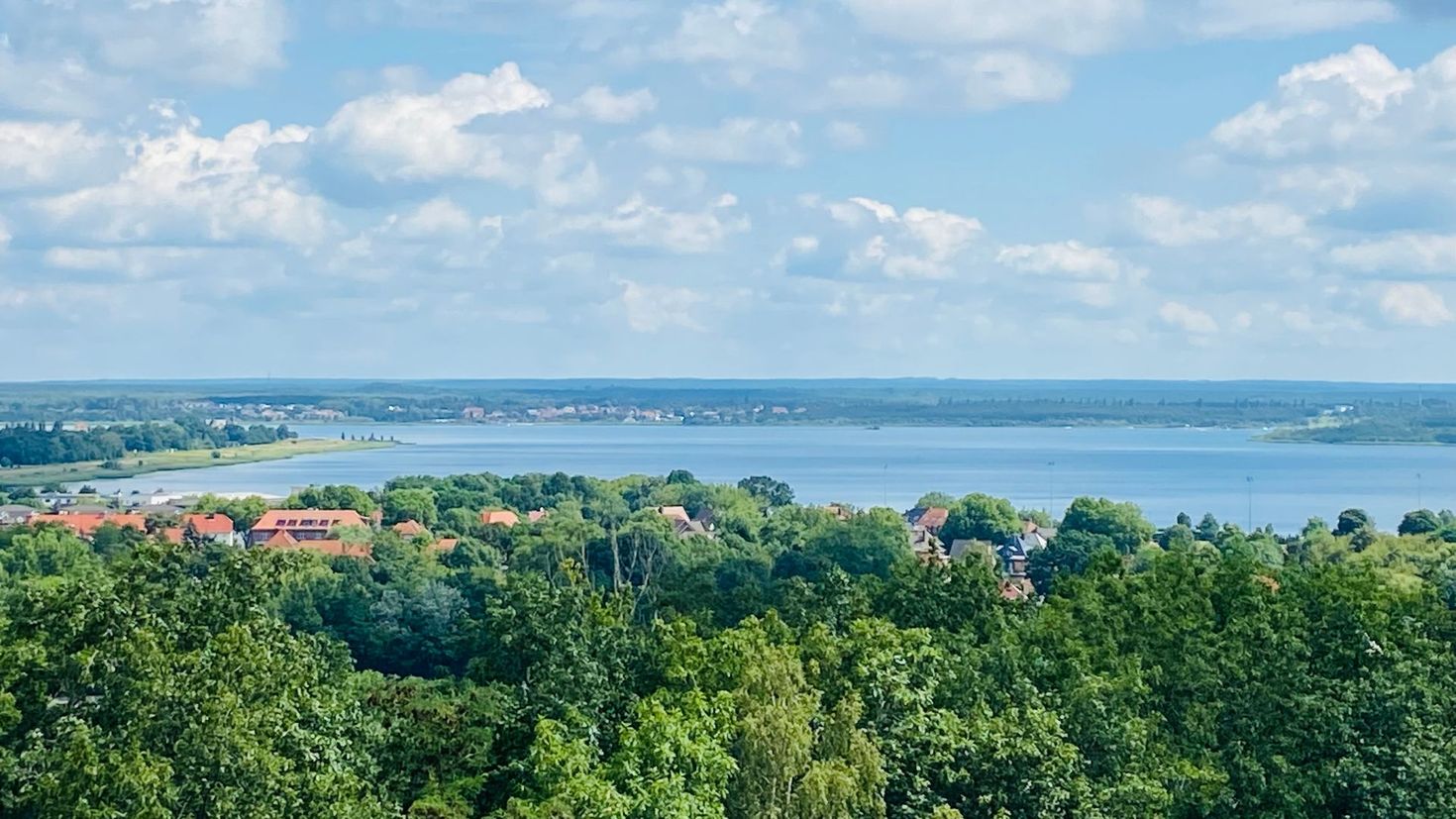 Blick vom Bitterfelder Bogen auf die Goitzsche